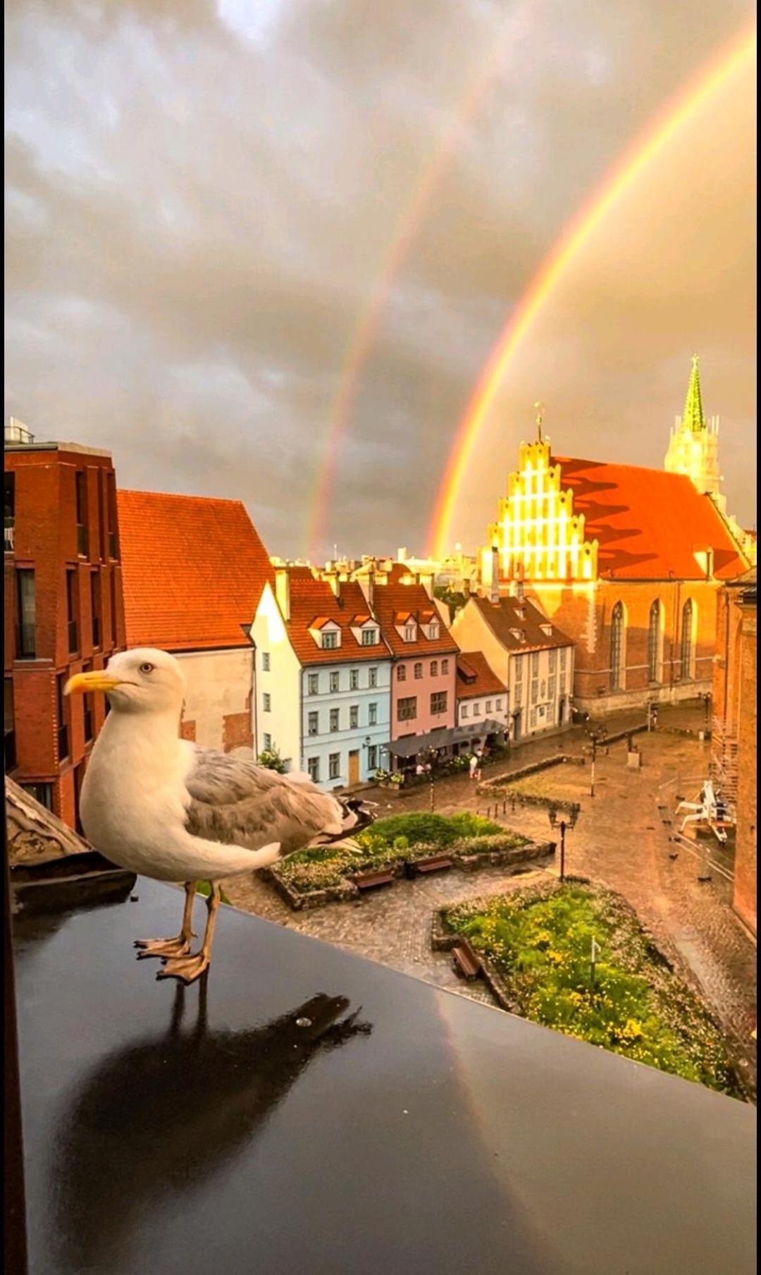 Old Town Retreat With Stunning Views 2 Bedroom Apartment Nearby The Church Of Saint Peter Riga Exterior photo